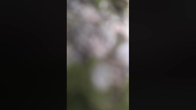 Synbaherrera  13-10-2022